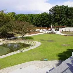 Otwarcie Ogrodu Japońskiego w Parku Śląskim