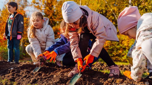 Chorzów rozkwitnie! Dzieci zasadziły żonkile i narcyzy w Parku Śląskim