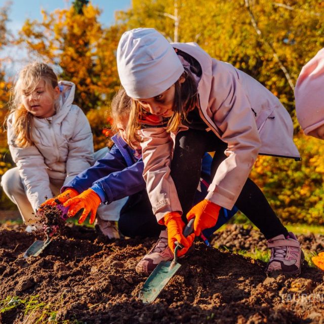 Chorzów rozkwitnie! Dzieci zasadziły żonkile i narcyzy w Parku Śląskim
