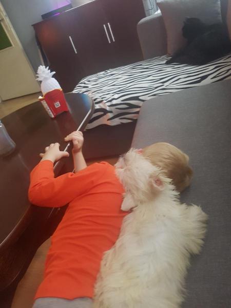 Nasza miłość do zwierząt