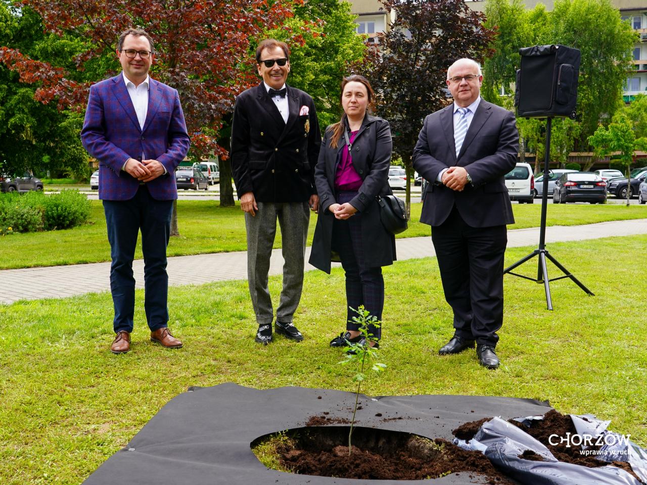 Chorzów pamięta o ofiarach Tragedii Górnośląskiej. Posadzono symboliczny "Dąb Pokoju" - fotoreportaż