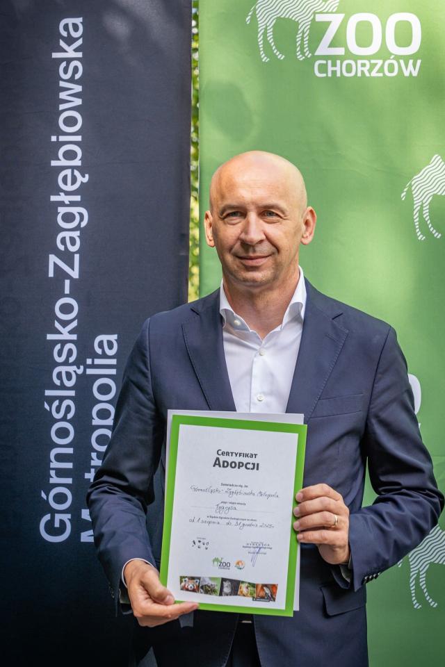 Śląskie ZOO ma nowego mieszkańca! To 13-letni tygrys amurski o imieniu Tiber! - fotoreportaż