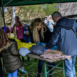 Wielkanoc na Śląsku - Chorzowski Skansen pełen ludzi