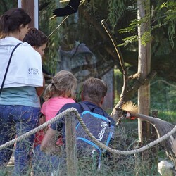 Śląski Ogród Zoologiczny