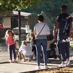 Śląski Ogród Zoologiczny