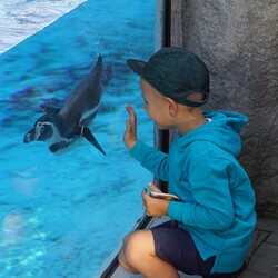 Śląski Ogród Zoologiczny