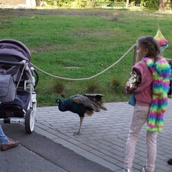 Śląski Ogród Zoologiczny