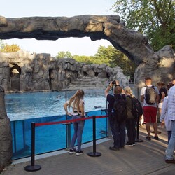 Śląski Ogród Zoologiczny