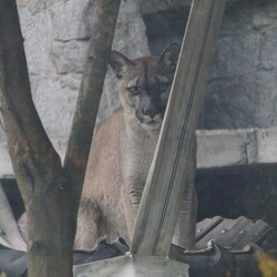 Śląski Ogród Zoologiczny