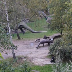 Śląski Ogród Zoologiczny