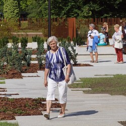 Otwarcie Ogrodu Japońskiego w Parku Śląskim