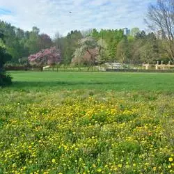 Wiosna w Parku Śląskim