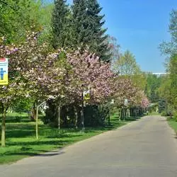Wiosna w Parku Śląskim