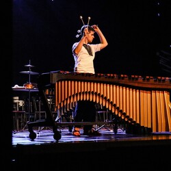 Od folkloru do folku