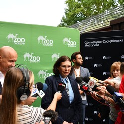nowy mieszkaniec Śląskiego ZOO