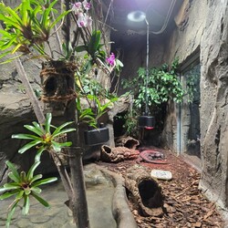 Rośliny dla zoo