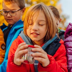 Sadzenie żonkili w Parku Śląskim