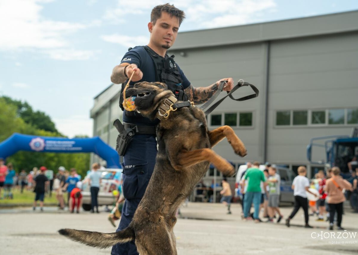 "Bezpieczny Maluch" pełen atrakcji! Mundurowi edukowali najmłodszych [ZDJĘCIA] / fot. UM Chorzów FB