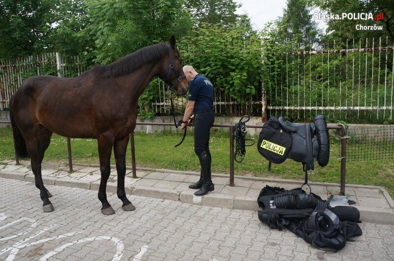 Chorzów: Zamiast komisariatu policji konnej będą mieszkania?