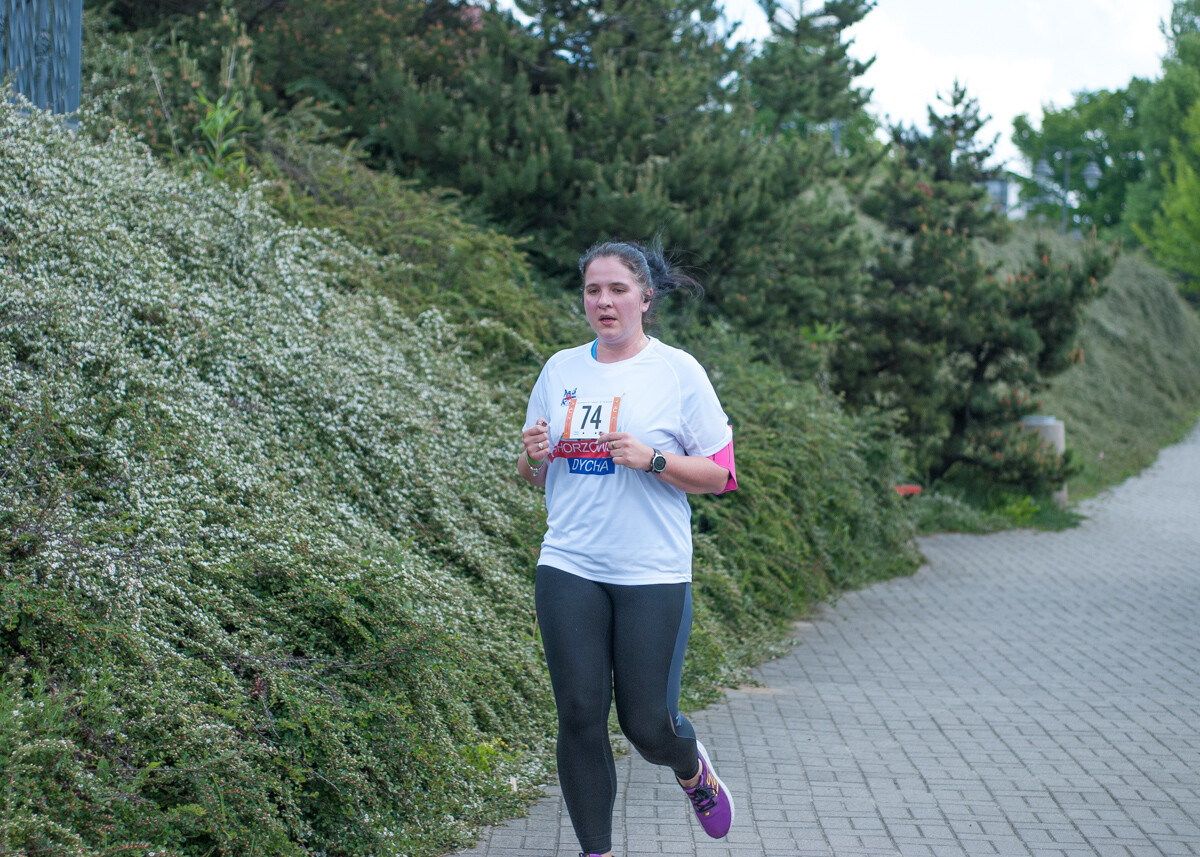 Za nami tegoroczna edycja Chorzowskiej Dychy, ponad setka uczestników wzięła udział w biegowych zawodach. Mamy zdjęcia!