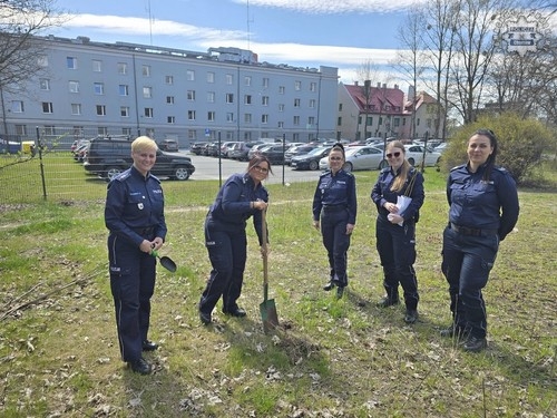 Chorzowskie policjantki posadziły drzewa z okazji Stulecia Kobiet w Policji
