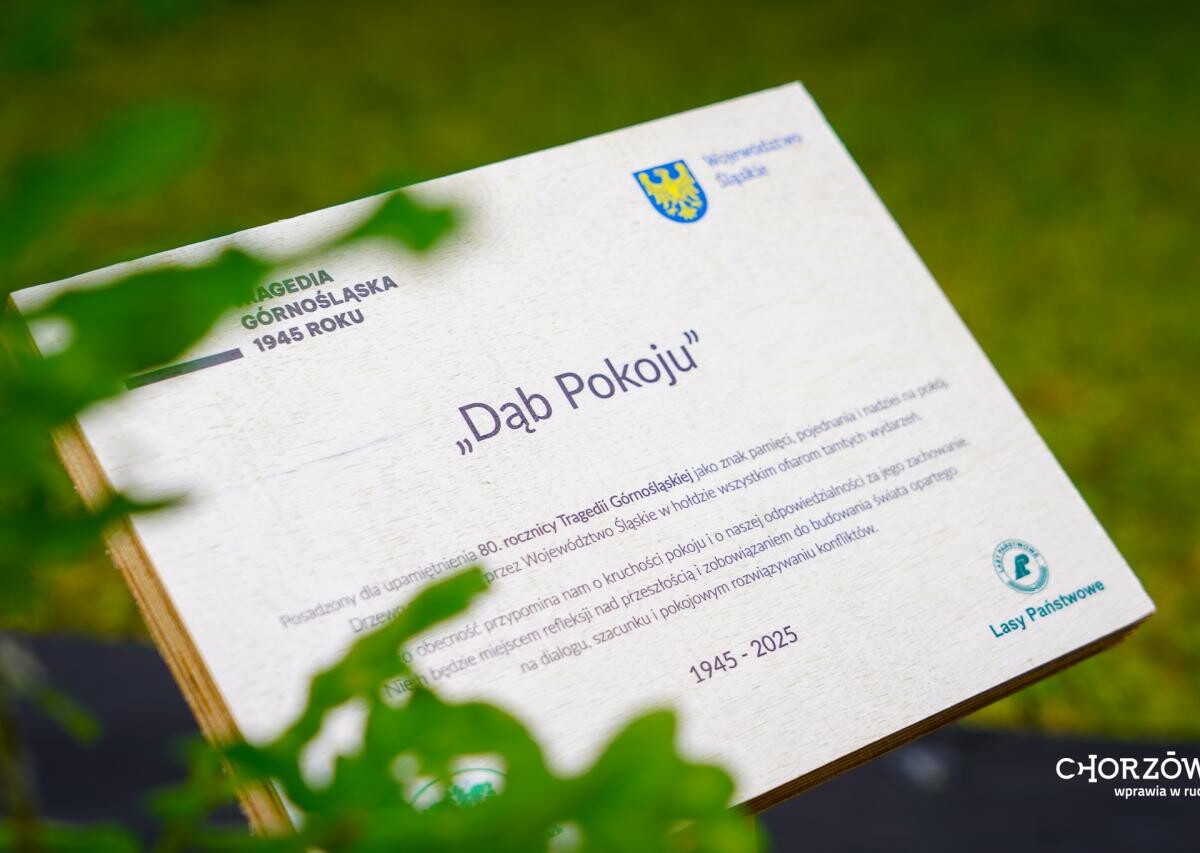 Chorzów pamięta o ofiarach Tragedii Górnośląskiej. Posadzono symboliczny "Dąb Pokoju" / fot. UM Chorzów FB
