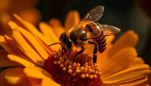 Dzień Pszczoły w Śląskim Ogrodzie Zoologicznym!