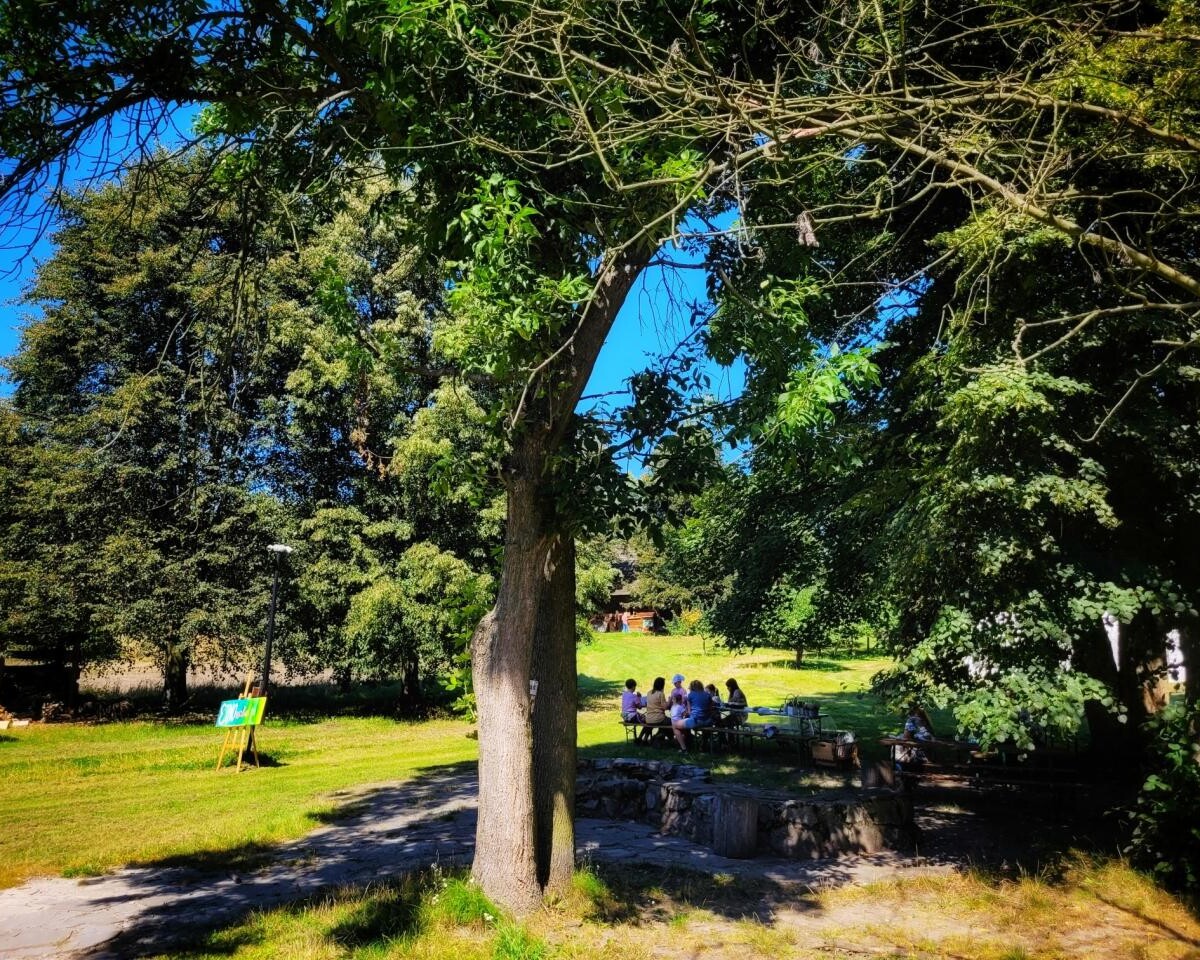 Etnowakacje w Chorzowie: dzieci sadziły zioła i tworzyły ekologiczne doniczki / fot. Muzeum "Górnośląski Park Etnograficzny w Chorzowie"