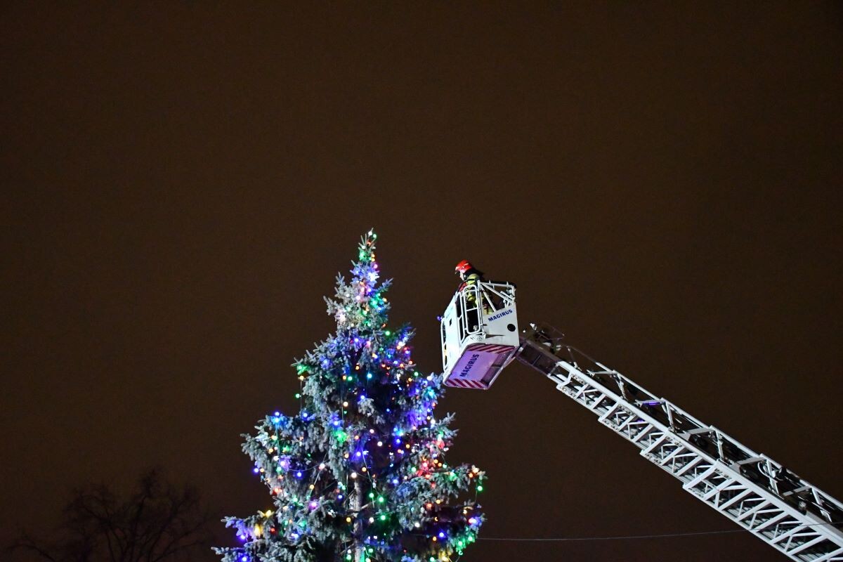 Przy chorzowskiej tężni solankowej odbyło się strojenie miejskiej choinki!