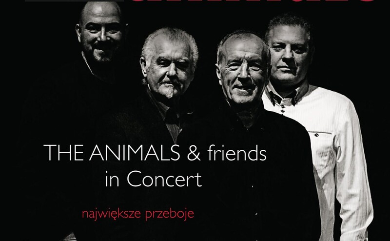 Koncert The Animals w Chorzowie