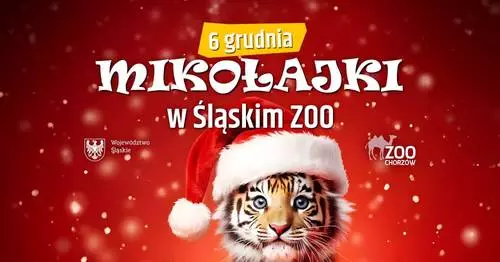 Mikołajki w Śląskim Ogrodzie Zoologicznym – kreatywna zabawa i magia świąt!