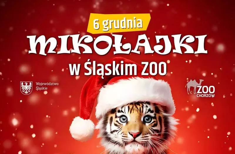 Mikołajki w Śląskim Ogrodzie Zoologicznym – kreatywna zabawa i magia świąt!