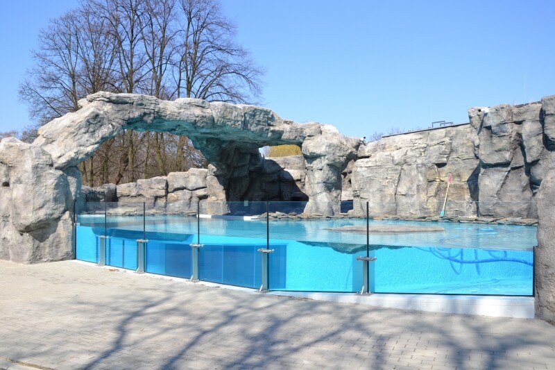 Pingwiny zadomowiły się w śląskim ZOO - Chorzów informacje ...