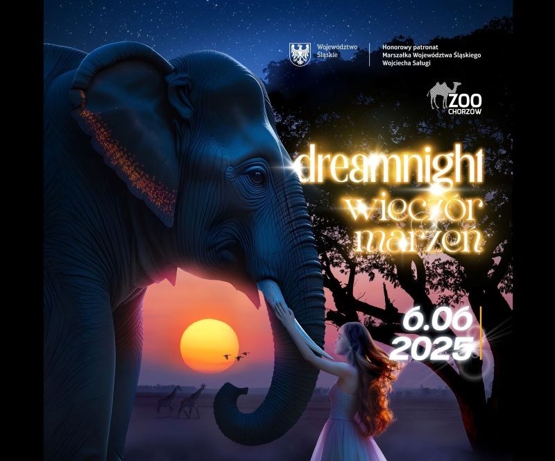 Przed nami Dream Night 2025 – Wieczór Marzeń w ZOO: magia, radość i wspólne chwile