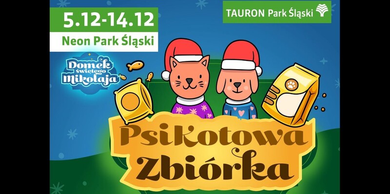 Psikotowa Zbiórka w Parku Śląskim. Pomóż zwierzakom ze schroniska w Chorzowie