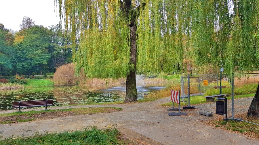 W chorzowskim Parku Róż rozpoczęła się modernizacja stawów. To początek prac, które obejmą w sumie trzy akweny w naszym mieście - dwa w Parku Róż i jeden w Parku Śląskim.