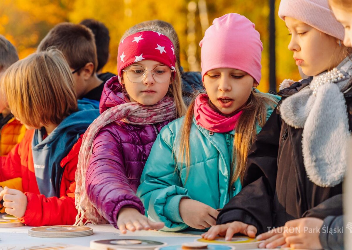 Chorzów rozkwitnie! Dzieci zasadziły żonkile i narcyzy w Parku Śląskim fot. Piotr Cyganik / TAURON Park Śląski