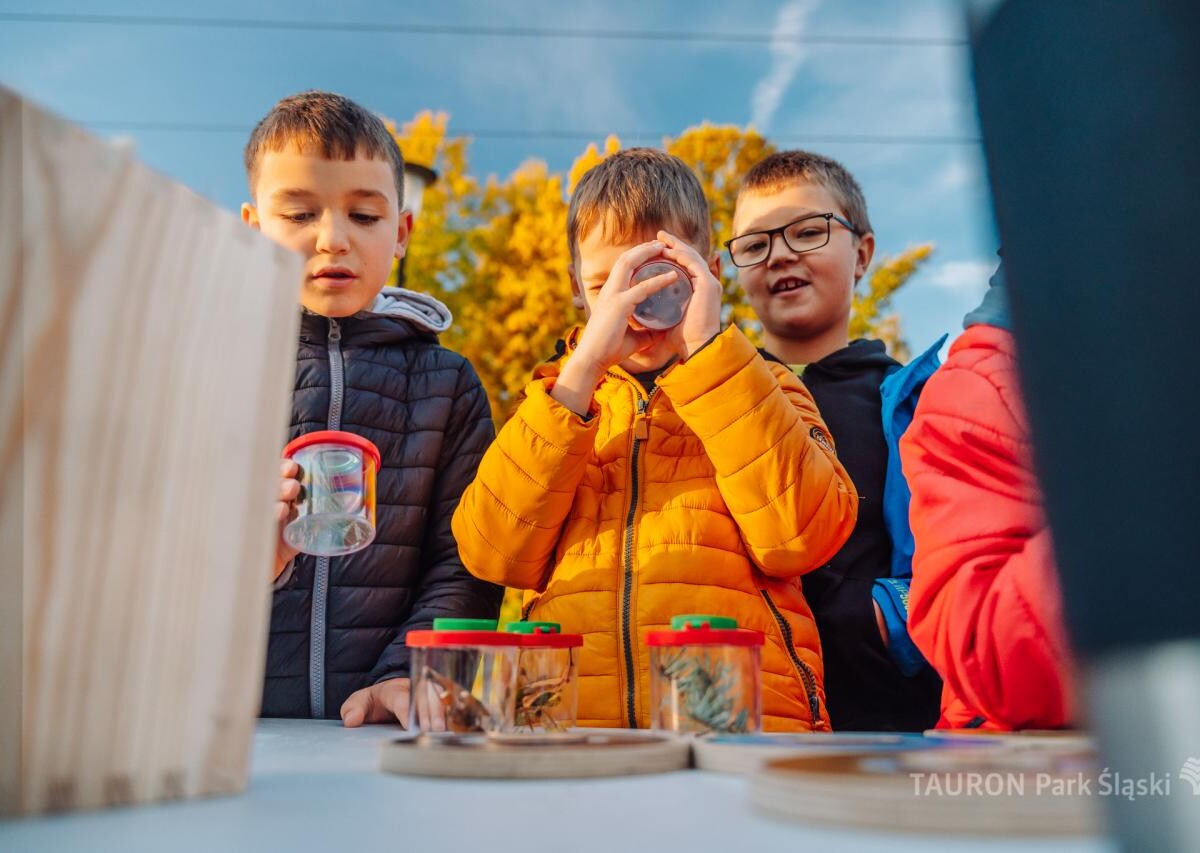Chorzów rozkwitnie! Dzieci zasadziły żonkile i narcyzy w Parku Śląskim fot. Piotr Cyganik / TAURON Park Śląski