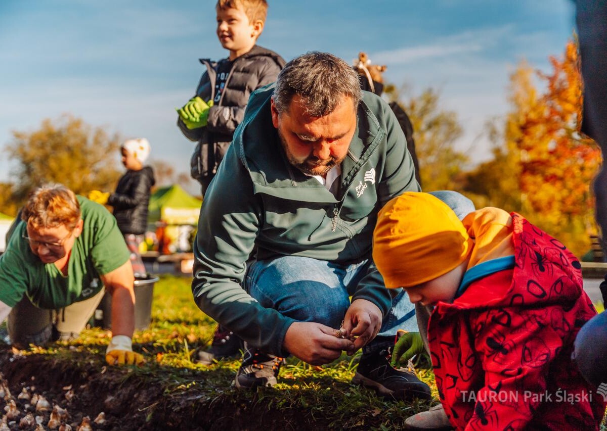 Chorzów rozkwitnie! Dzieci zasadziły żonkile i narcyzy w Parku Śląskim fot. Piotr Cyganik / TAURON Park Śląski