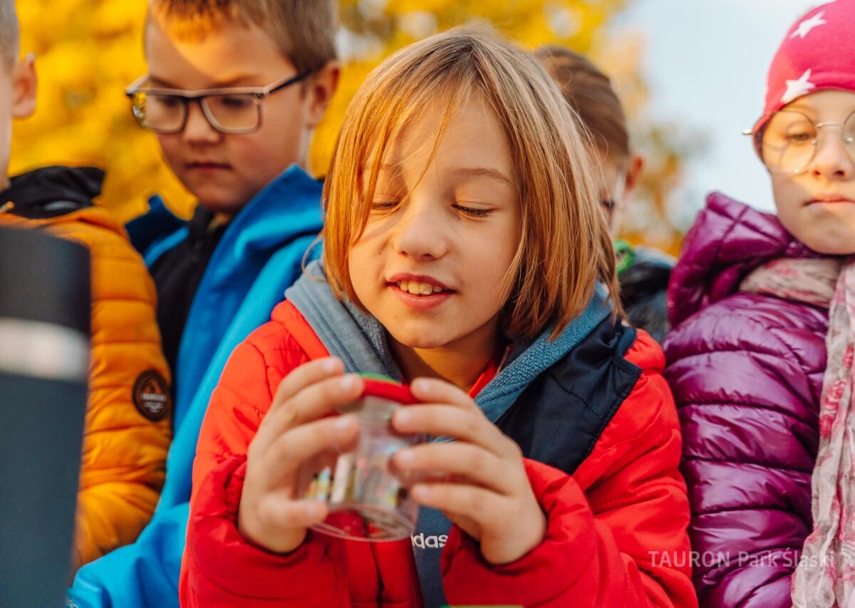 Chorzów rozkwitnie! Dzieci zasadziły żonkile i narcyzy w Parku Śląskim fot. Piotr Cyganik / TAURON Park Śląski