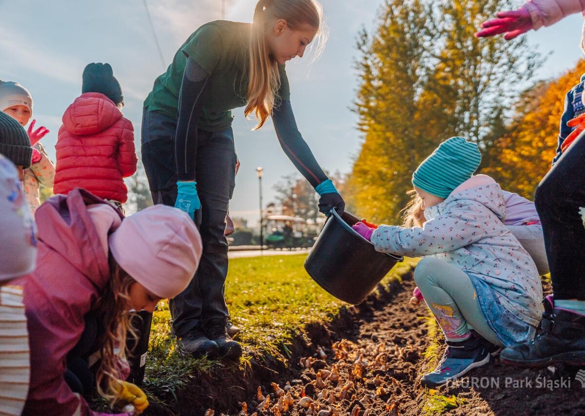 Chorzów rozkwitnie! Dzieci zasadziły żonkile i narcyzy w Parku Śląskim fot. Piotr Cyganik / TAURON Park Śląski