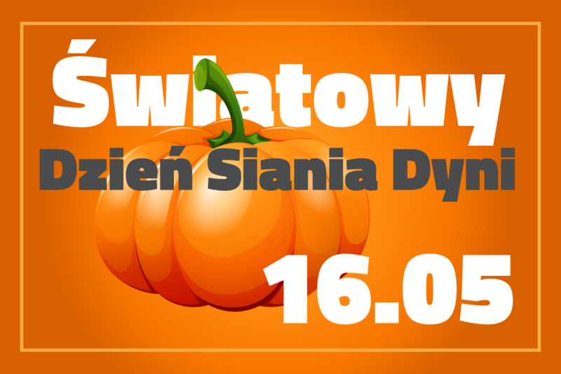 Siejemy dynie w Chorzowie!