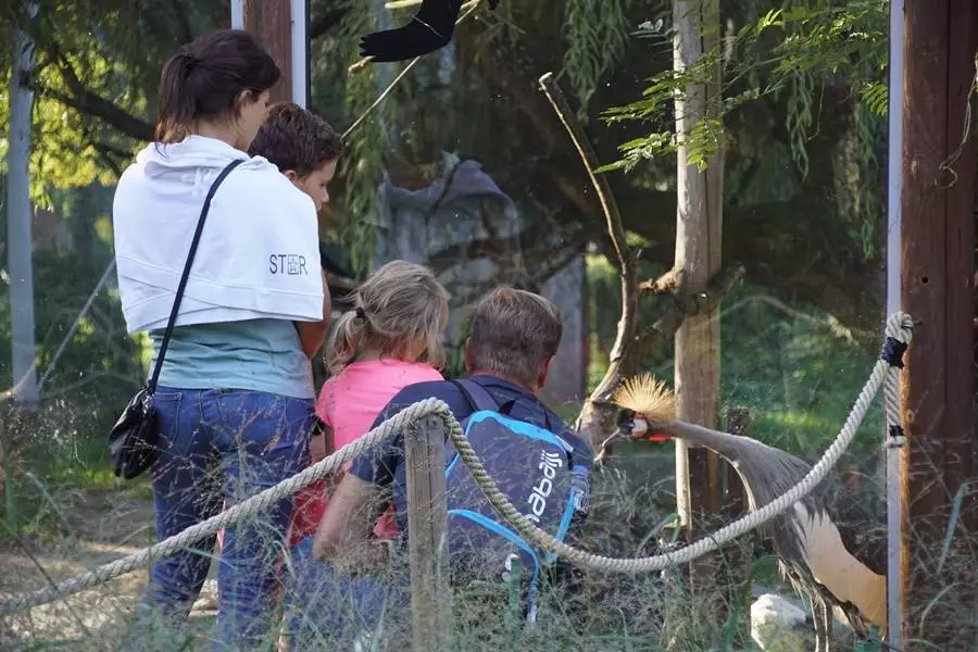 Tłumy gości chciały zobaczyć zwierzaki z chorzowskiego zoo. 