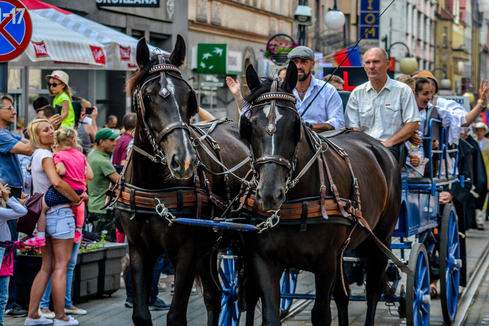 Trwają obchodu Święta Miasta, Chorzów/Królewska Huta obchodzą 150 rocznicę nadania praw miejskich. Dziś ulicą Wolności przeszła wielka parada!