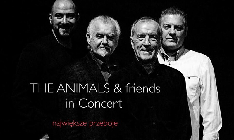 The Animals & Friends pod koniec sierpnia w Chorzowie