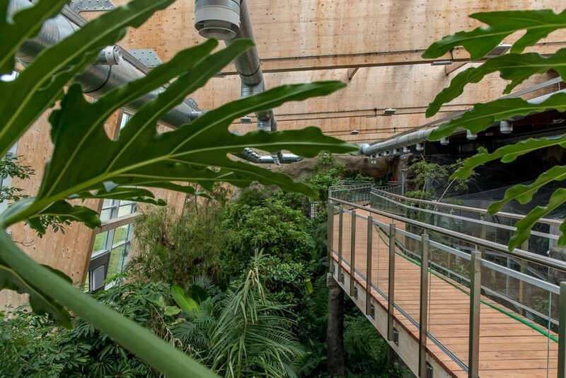 Trwają prace przy budowie lasu deszczowego w Śląskim Ogrodzie Zoologicznym