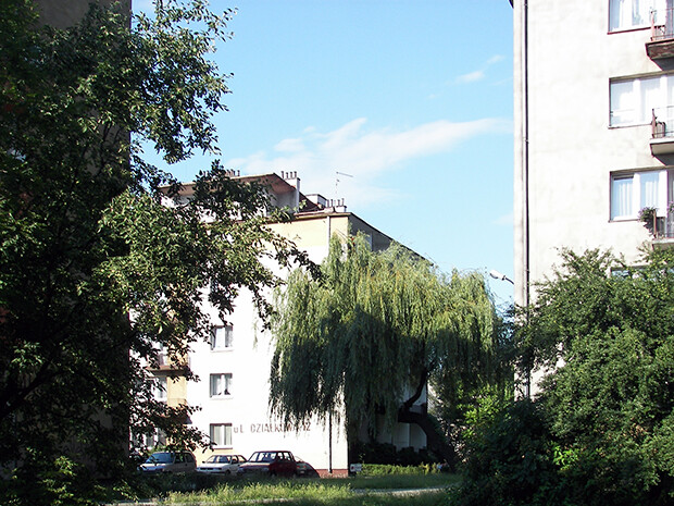 Ulica Działkowa