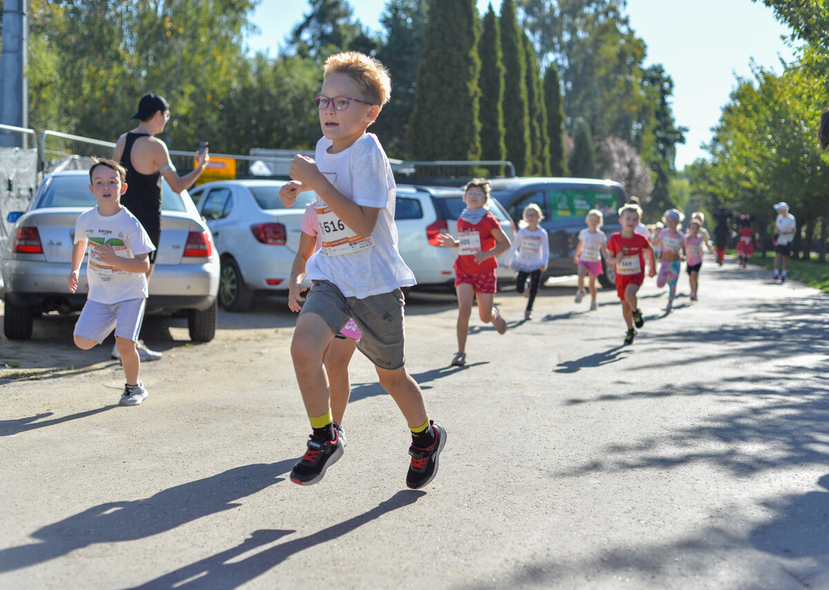 Za nami kolejna odsłona Ulicznej Mili w Parku Śląskim. Tłum uczestników pojawił się na starcie zawodów, zmierzyli się z dystansem jednej mili prowadzącym parkowymi alejkami.