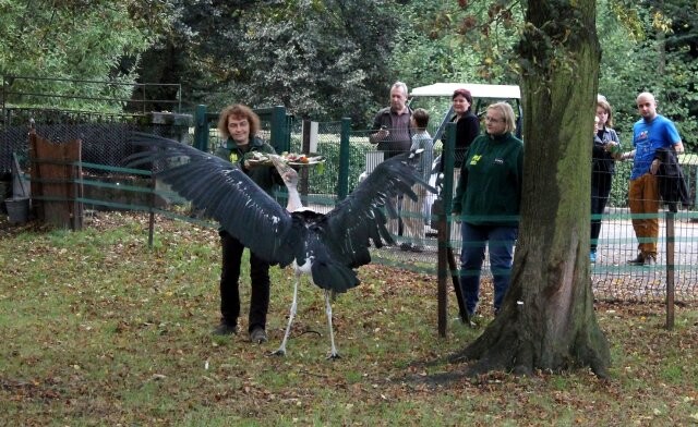Źródło: Park Śląski