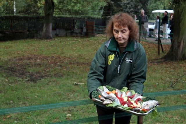 Źródło: Park Śląski